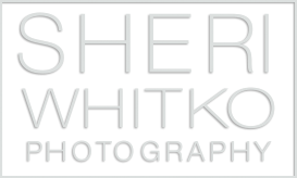 Sheri Whitko Photography